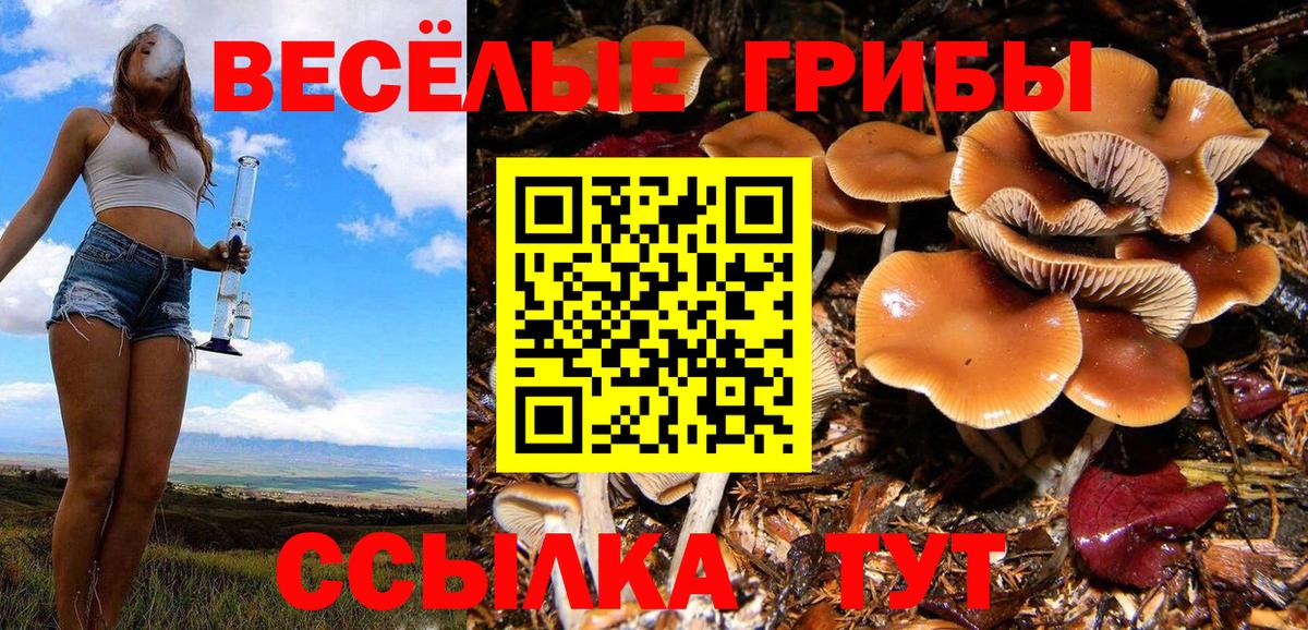 купить закладку  Галлюциногенные грибы мухоморы  Вход с VPN  Маркс  Псилоцибиновые грибы мухоморы 