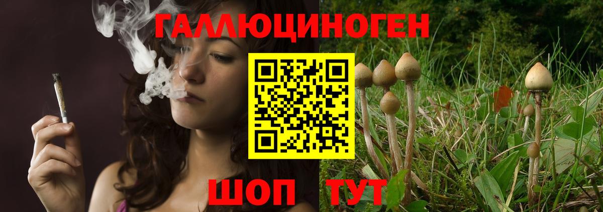 Галлюциногенные грибы Psilocybe Маркс