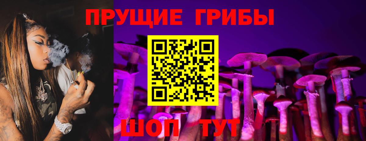 Псилоцибиновые грибы прущие грибы  Маркс 